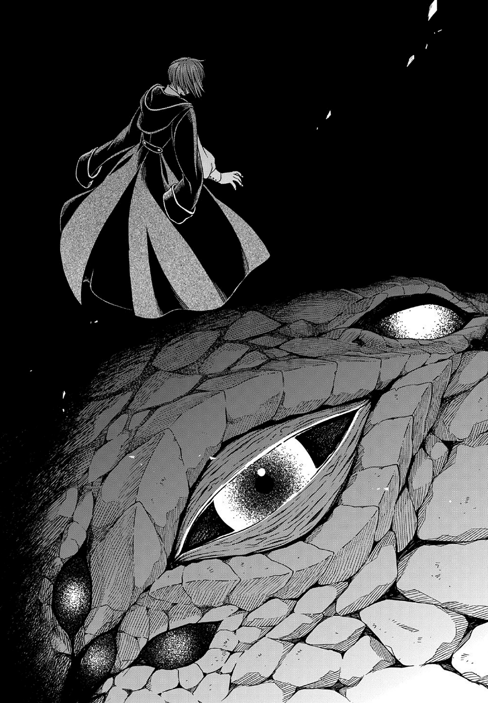 The Ancient Magus Bride, Chapter 81 image 39